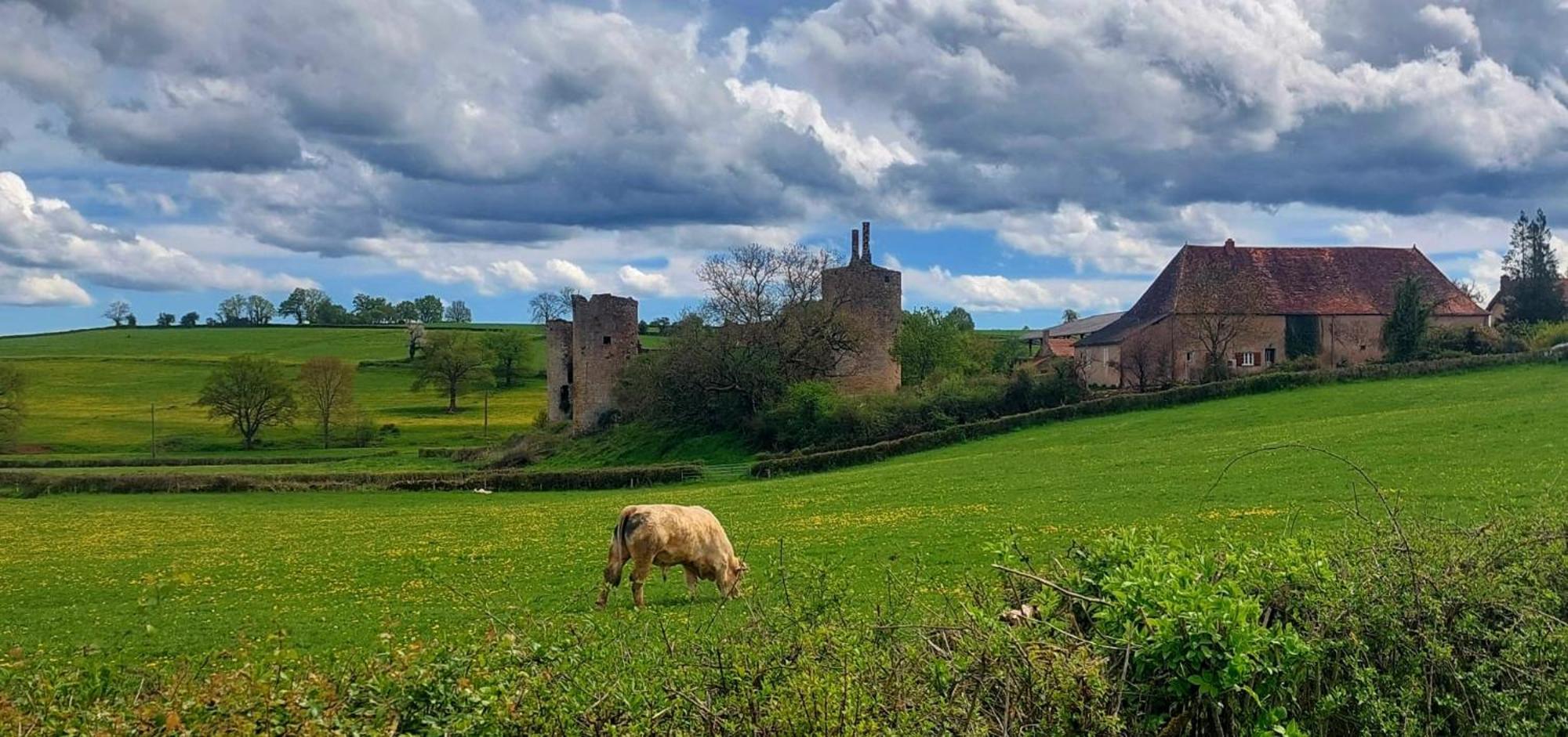Maison Du Grand Moulin Saint-Aubin-en-Charollais Экстерьер фото