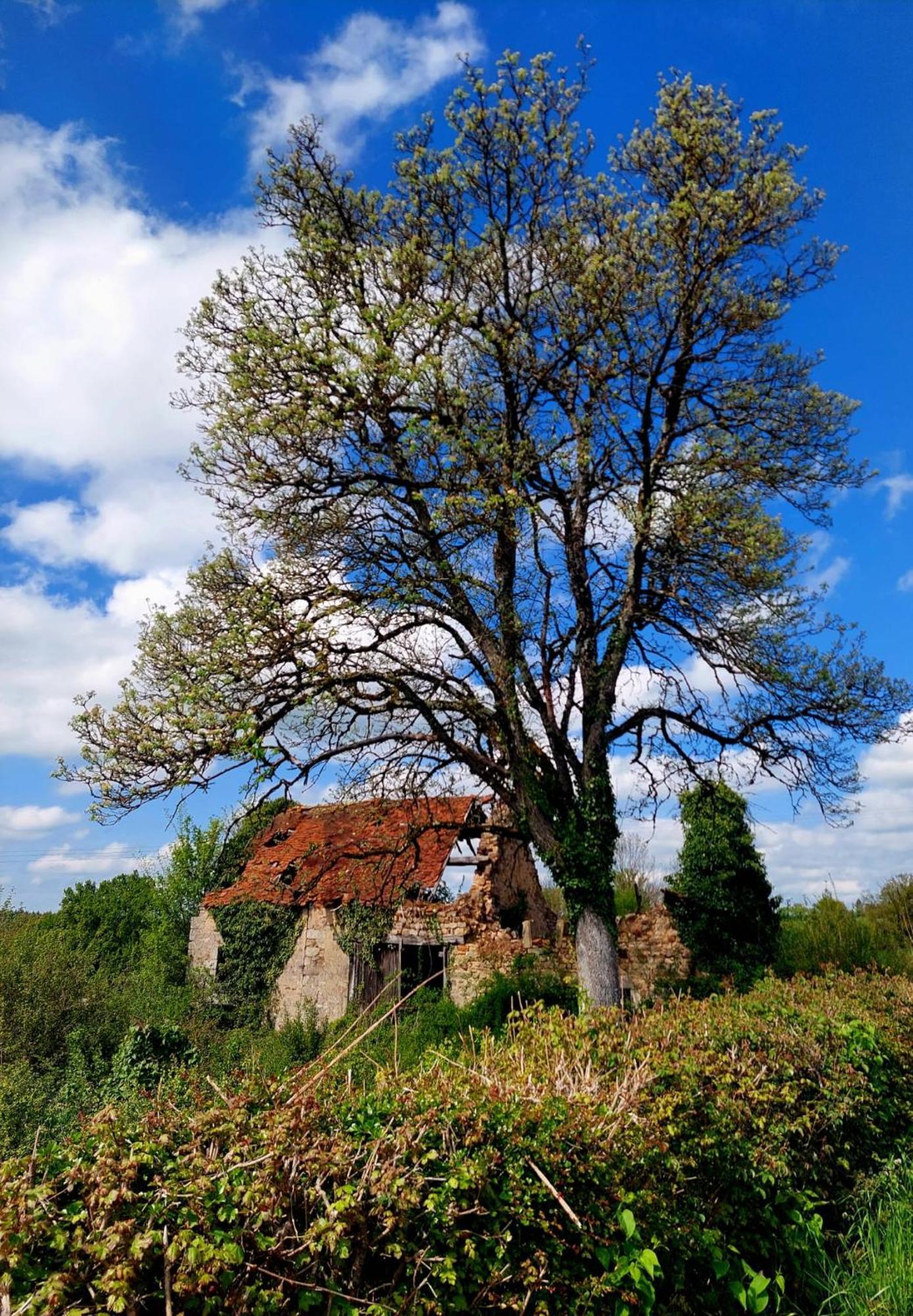 Maison Du Grand Moulin Saint-Aubin-en-Charollais Экстерьер фото